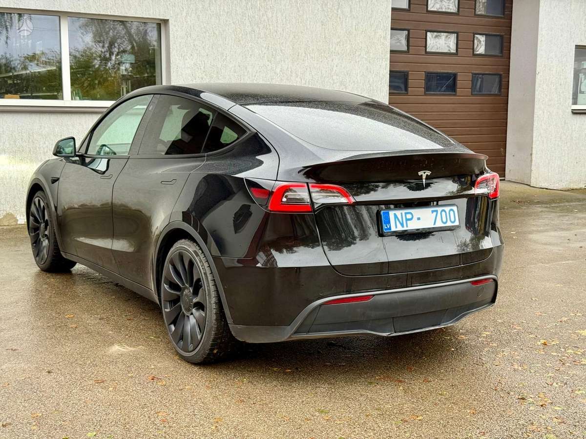 Tesla Model Y, Хэтчбек