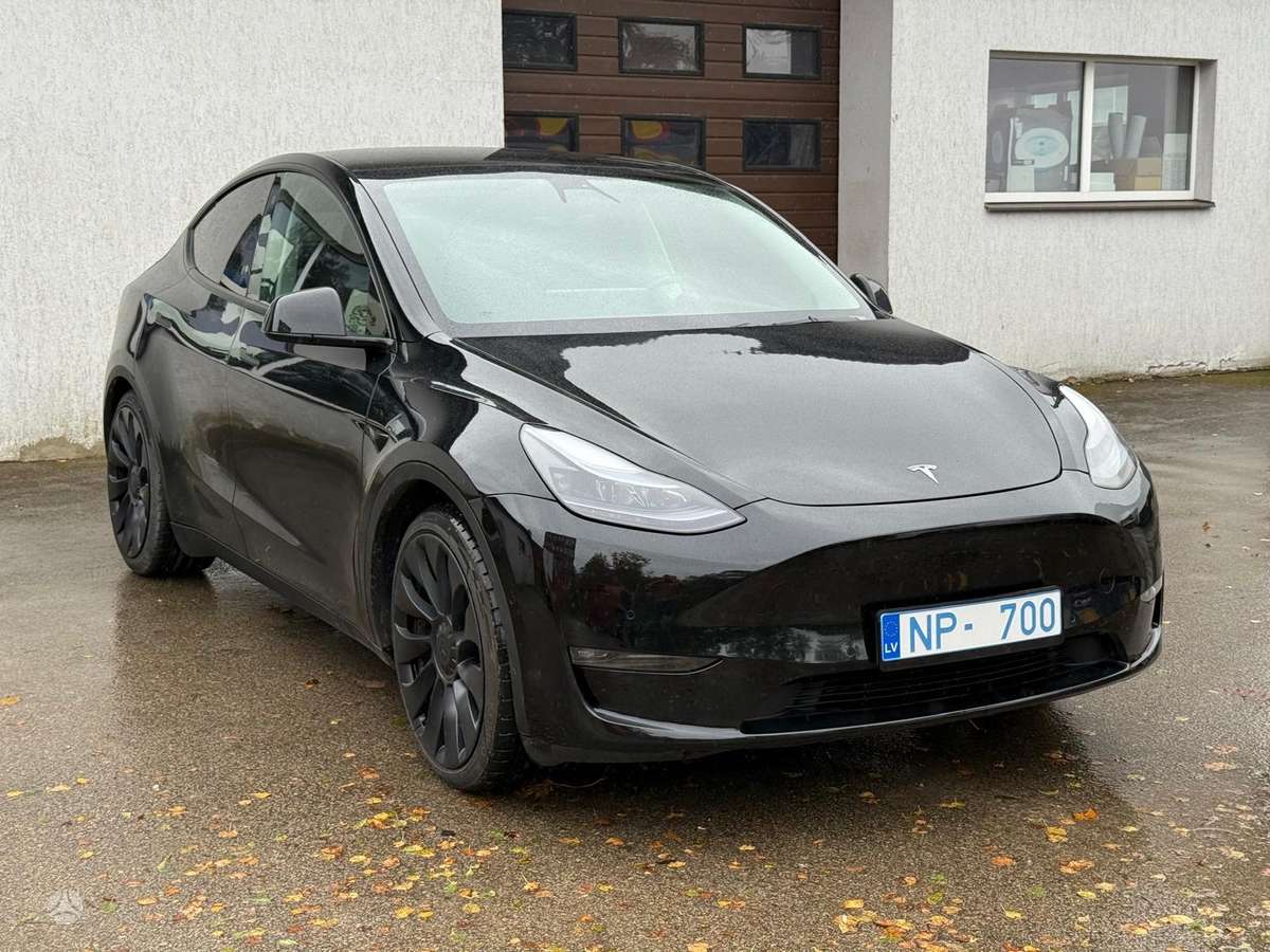 Tesla Model Y, Хэтчбек