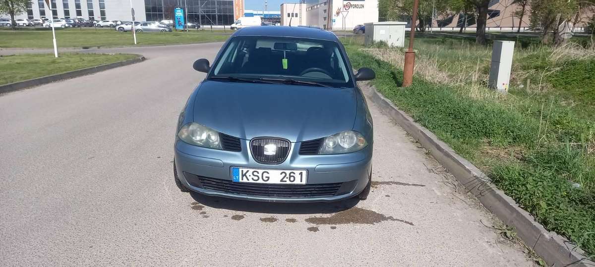 Seat Ibiza, 1.4 l., hatchback