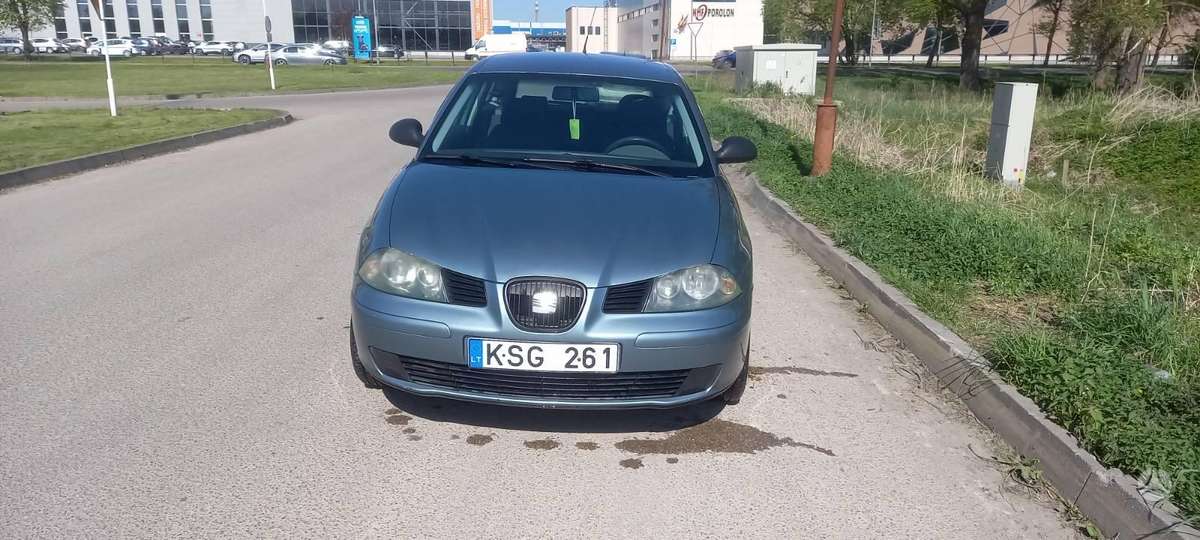 SEAT Ibiza - 2