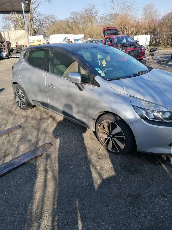 Renault Clio 37069885048