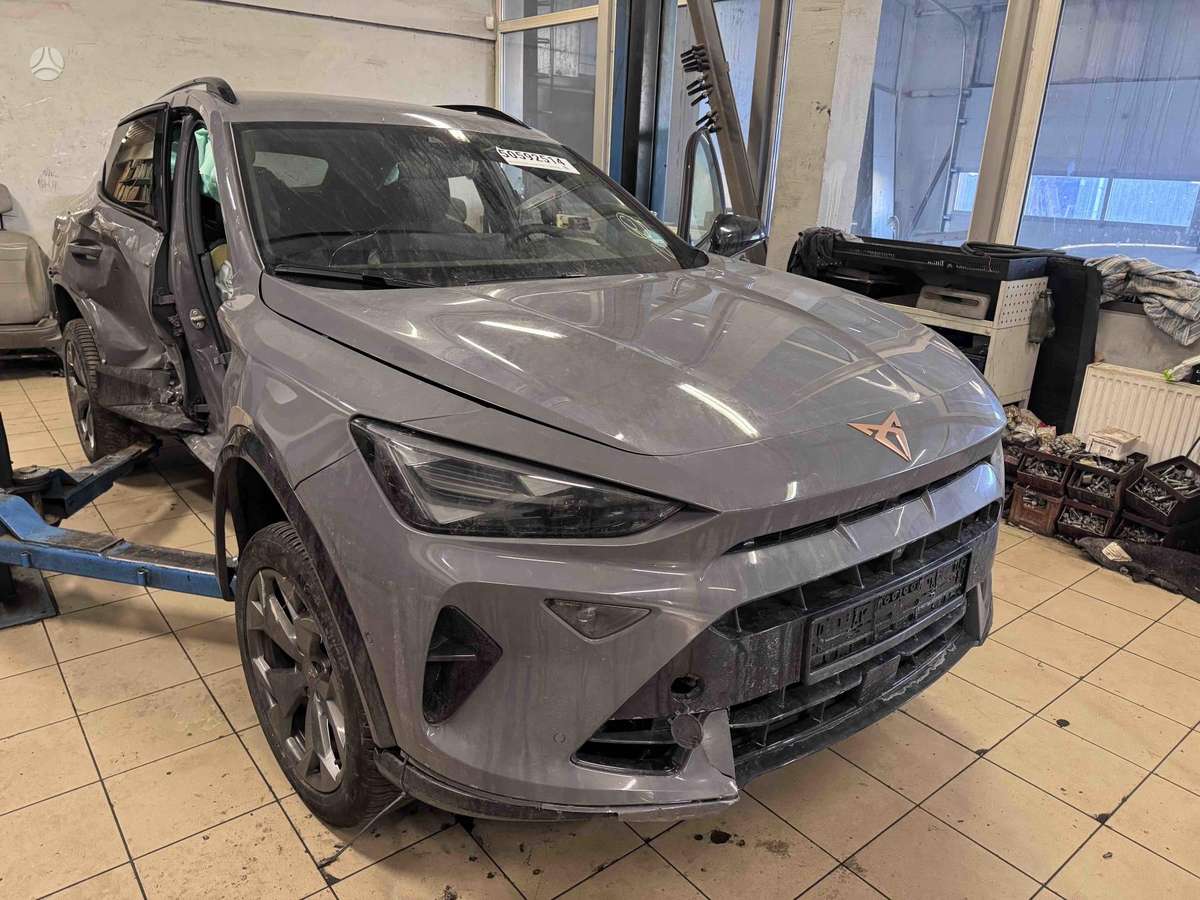 Cupra Formentor dalimis. Kėbulo numeris vin vsszzzkm1sr081167 variklis cupra 1