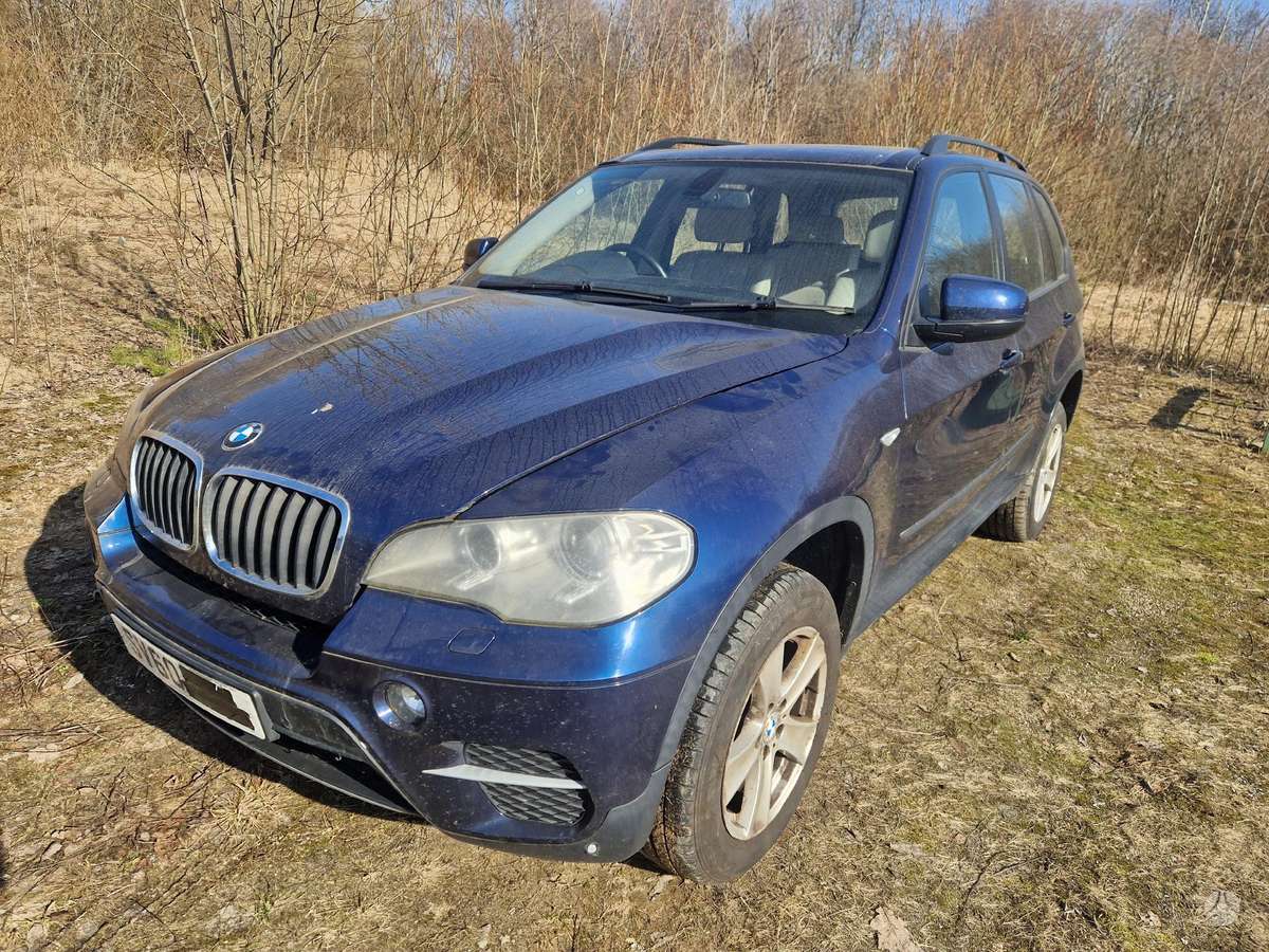BMW X5 Dalys