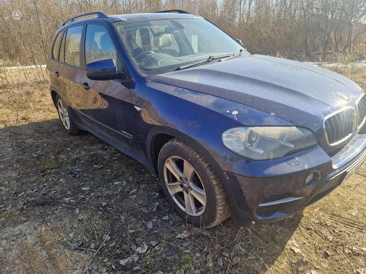 BMW X5 Dalys