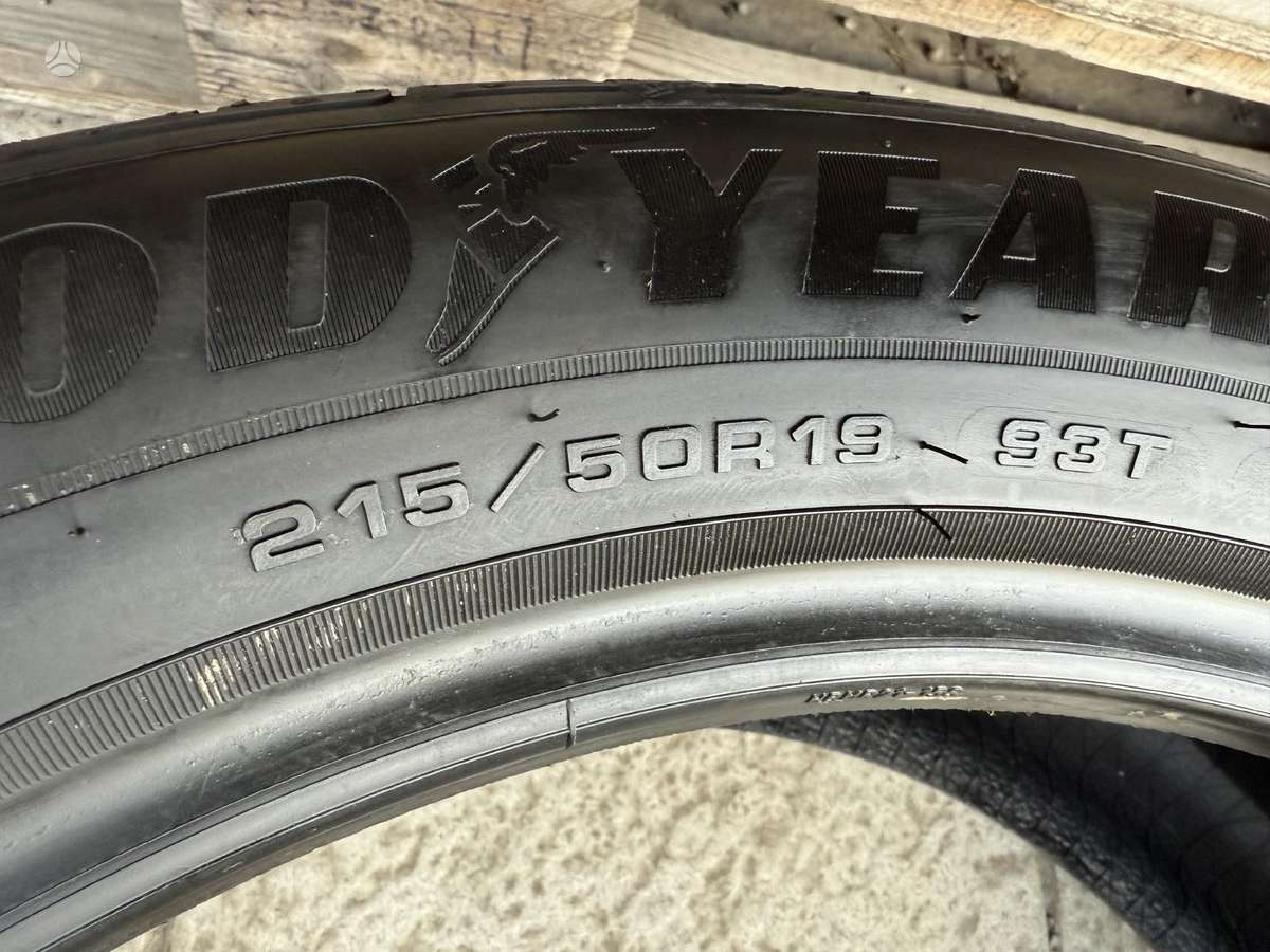 Goodyear Efficient grip performance, зимние 215/50 R19