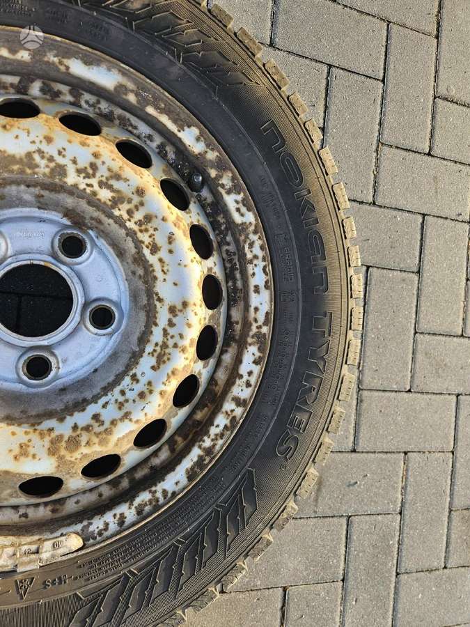 Continental, žieminės 205/65 R16
