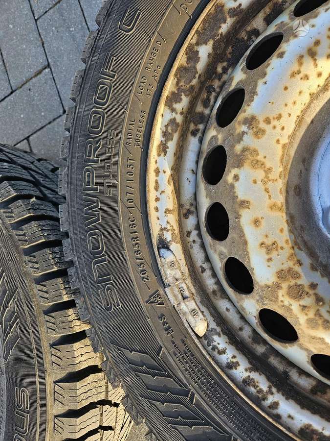 Continental, žieminės 205/65 R16