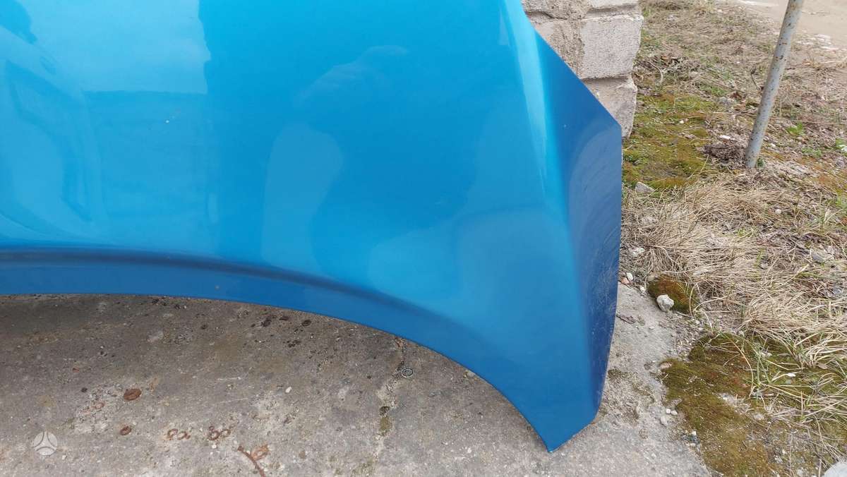 Nissan Juke hood (front, rear)