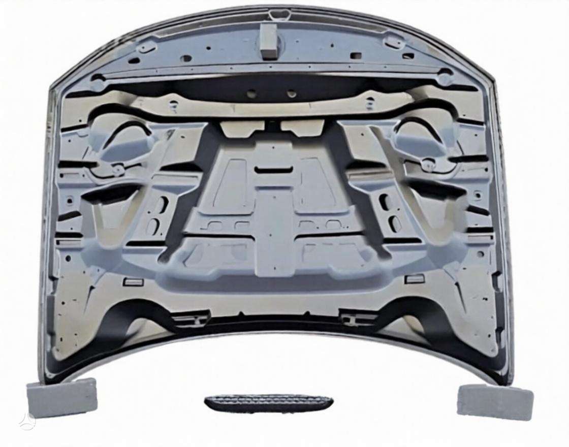 Dodge Charger dangtis (priekinis, galinis)