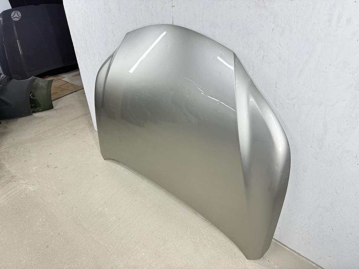 Lexus NX klasė dangtis (priekinis, galinis)
