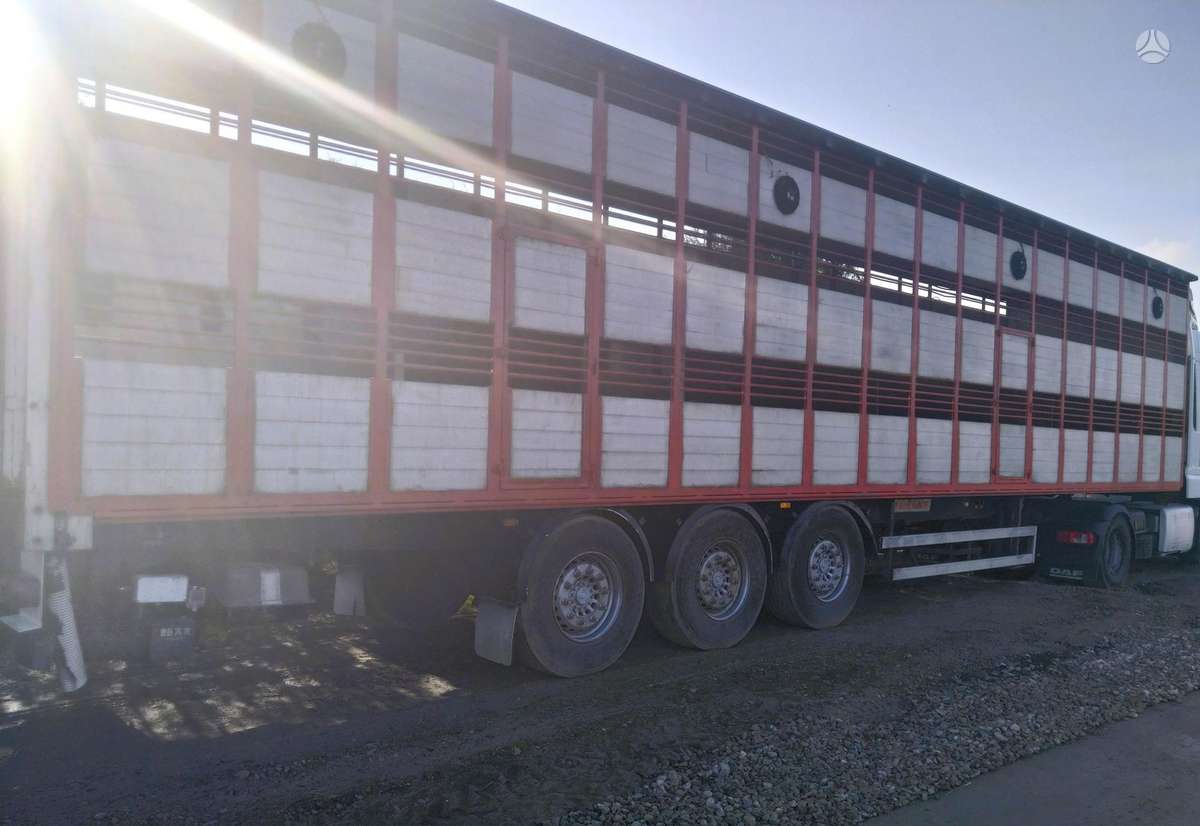 MAN TGM 18.330, gyvulių pervežimo
