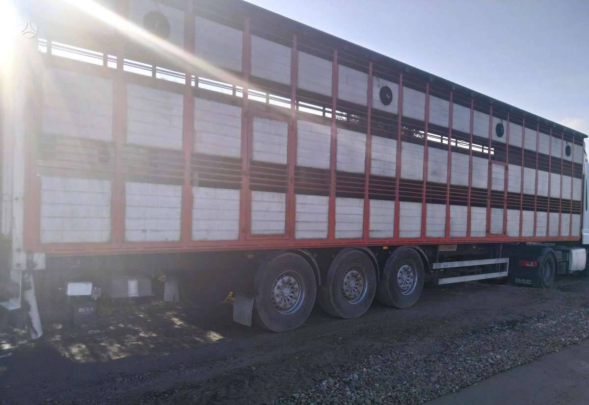 MAN TGM 18.330, скотовозы