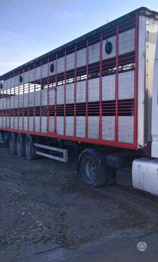 MAN TGM 18.330, скотовозы