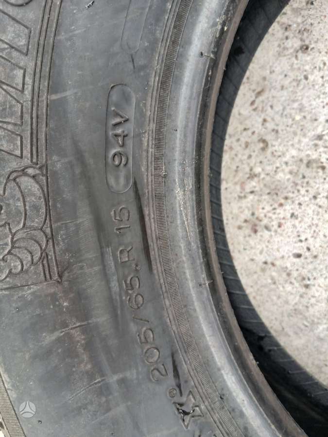 Michelin, vasarinės 205/65 R15
