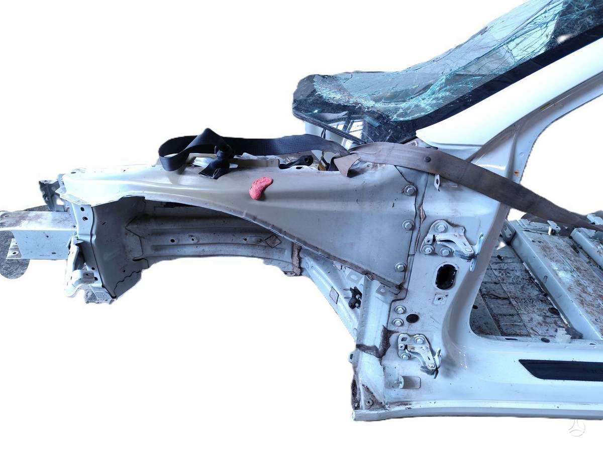 Tesla Model 3 dangtis (priekinis, galinis)
