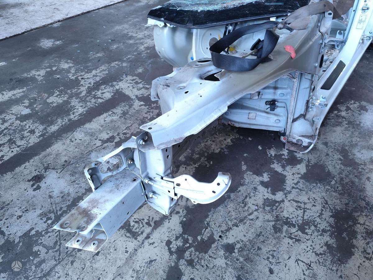 Tesla Model 3 dangtis (priekinis, galinis)
