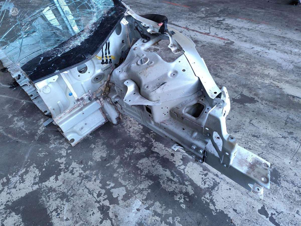 Tesla Model 3 dangtis (priekinis, galinis)