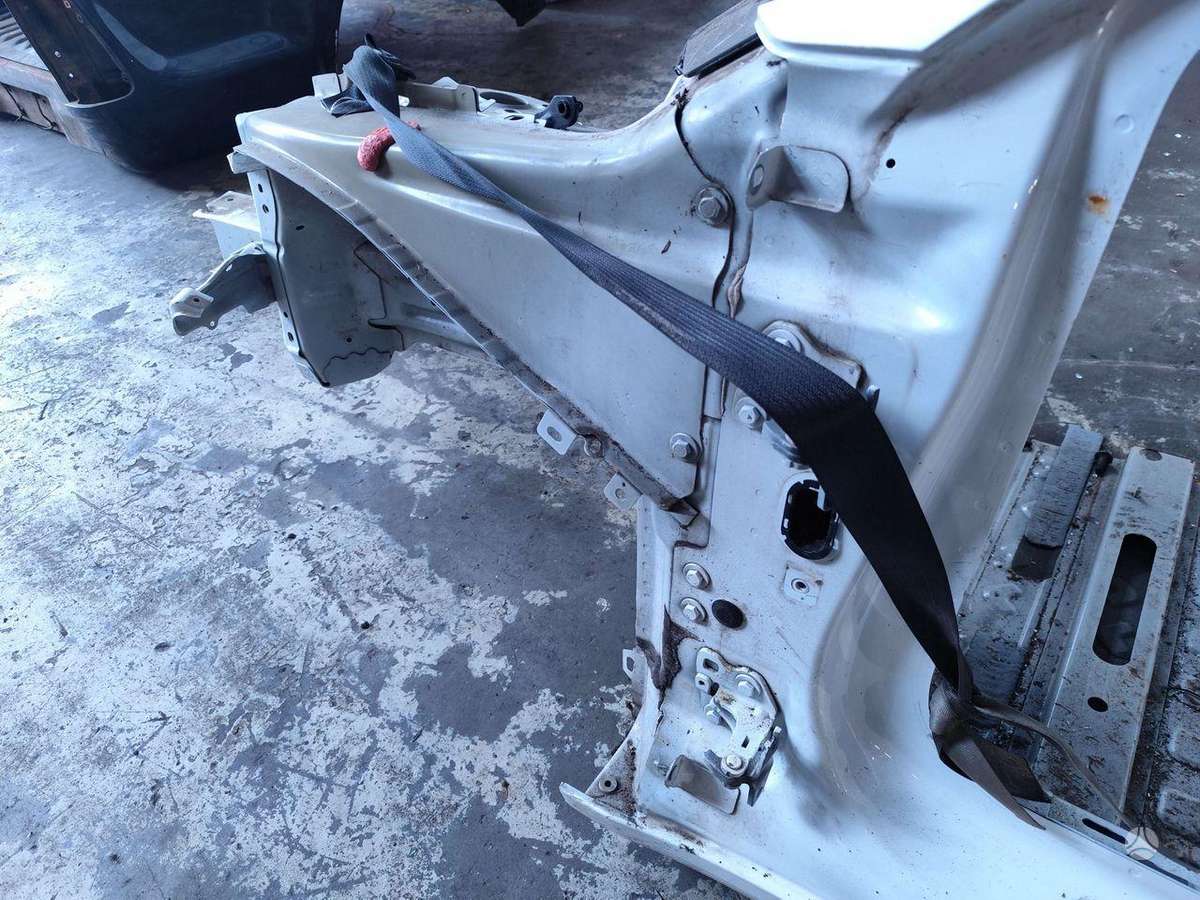 Tesla Model 3 dangtis (priekinis, galinis)