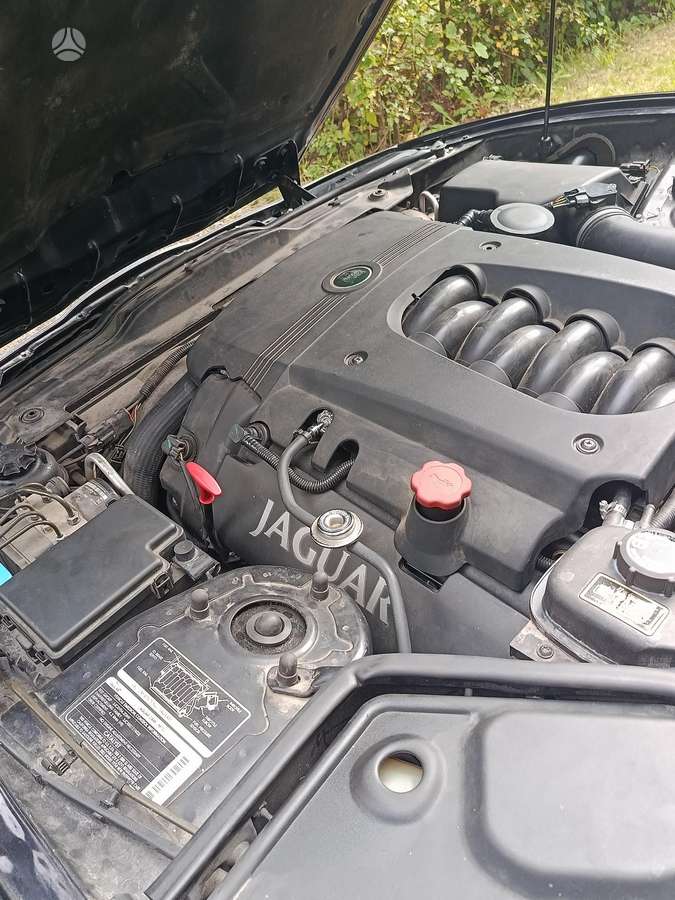 Jaguar XK8, 4.2 l., convertible