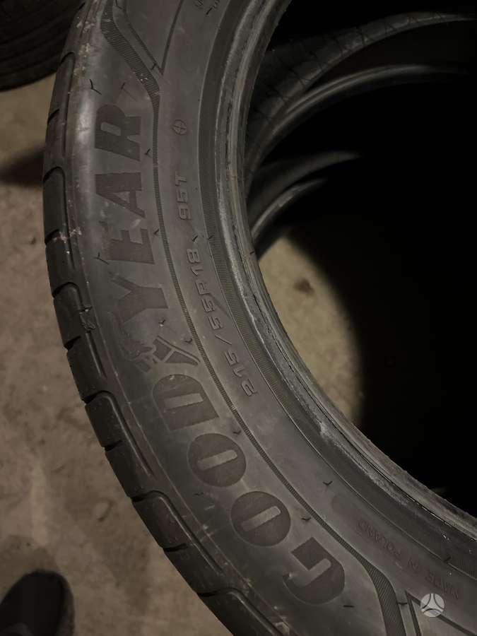 Goodyear EFFICIENT GRIP PERFORMANCE 25m, летние 215/55 R18