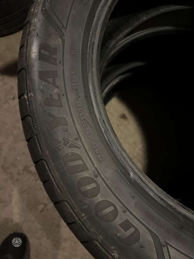 Goodyear EFFICIENT GRIP PERFORMANCE 25m, vasarinės 215/55 R18
