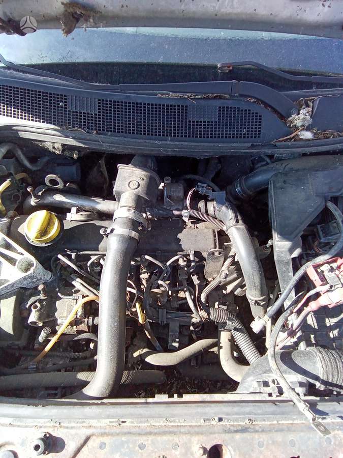 Renault Megane dalimis. Dalym
