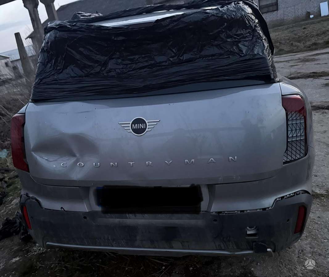 Mini Countryman Dalimis