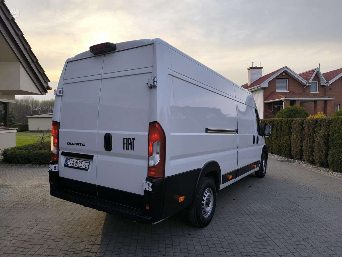 Fiat Ducato, cargo van