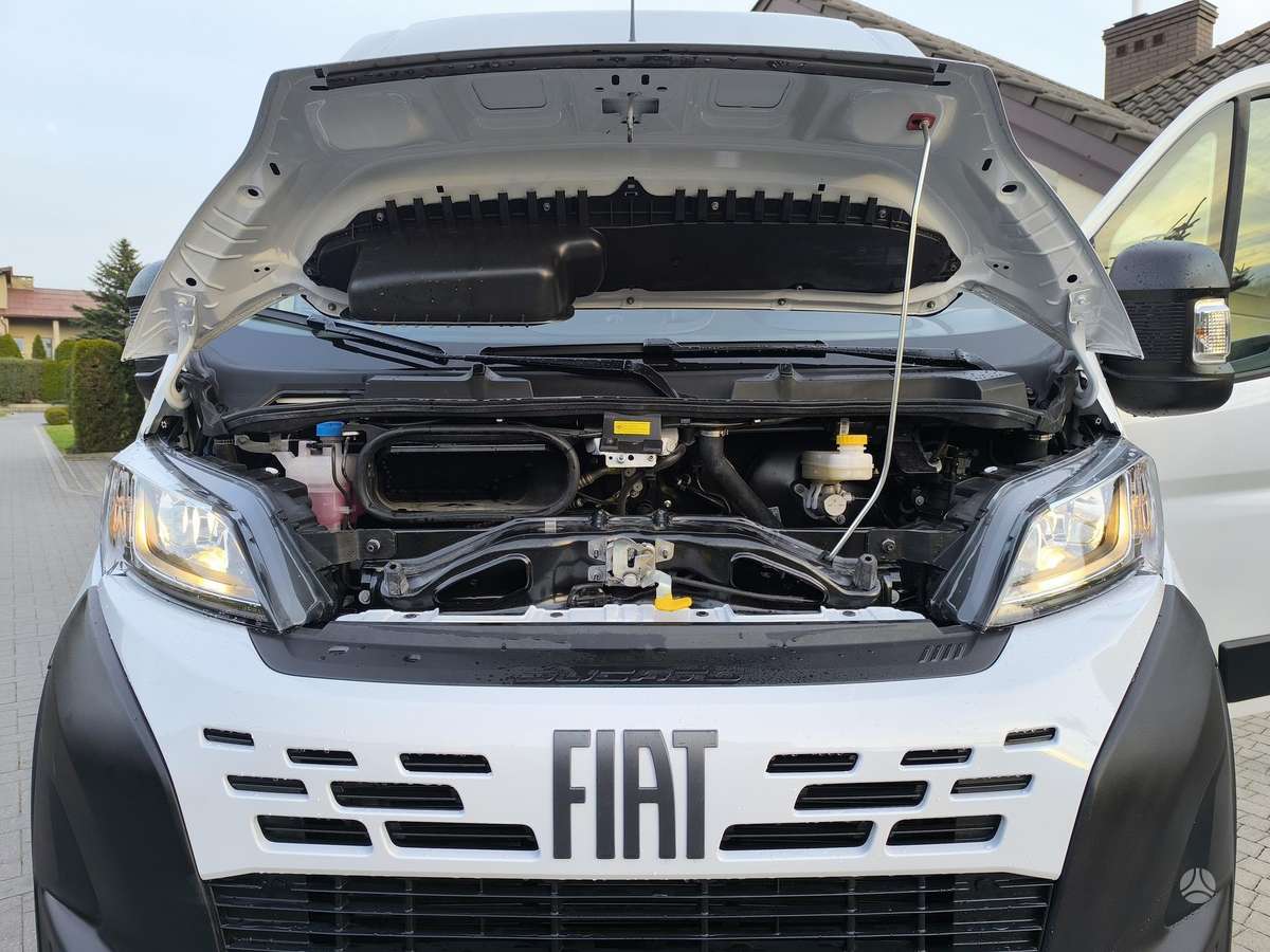 Fiat Ducato, cargo van