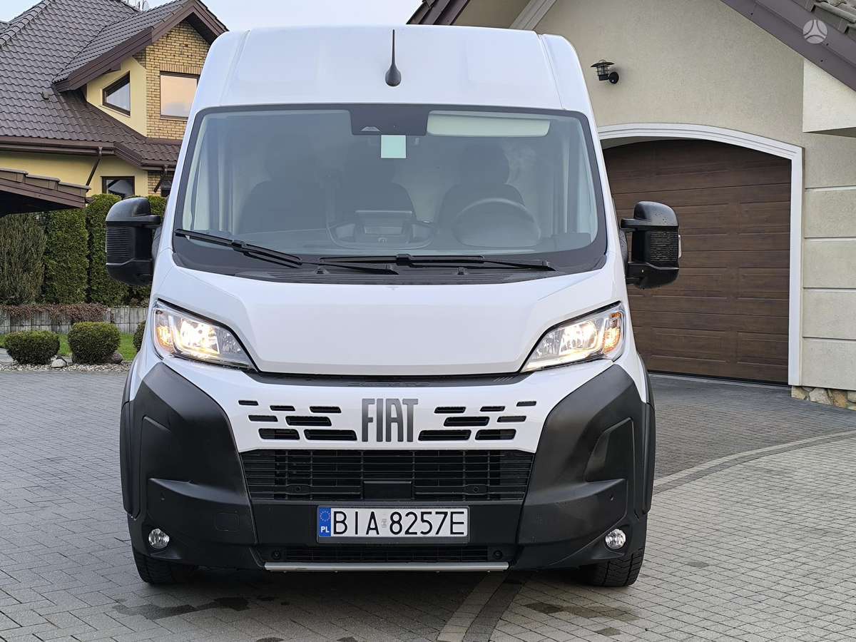 Fiat Ducato, cargo van