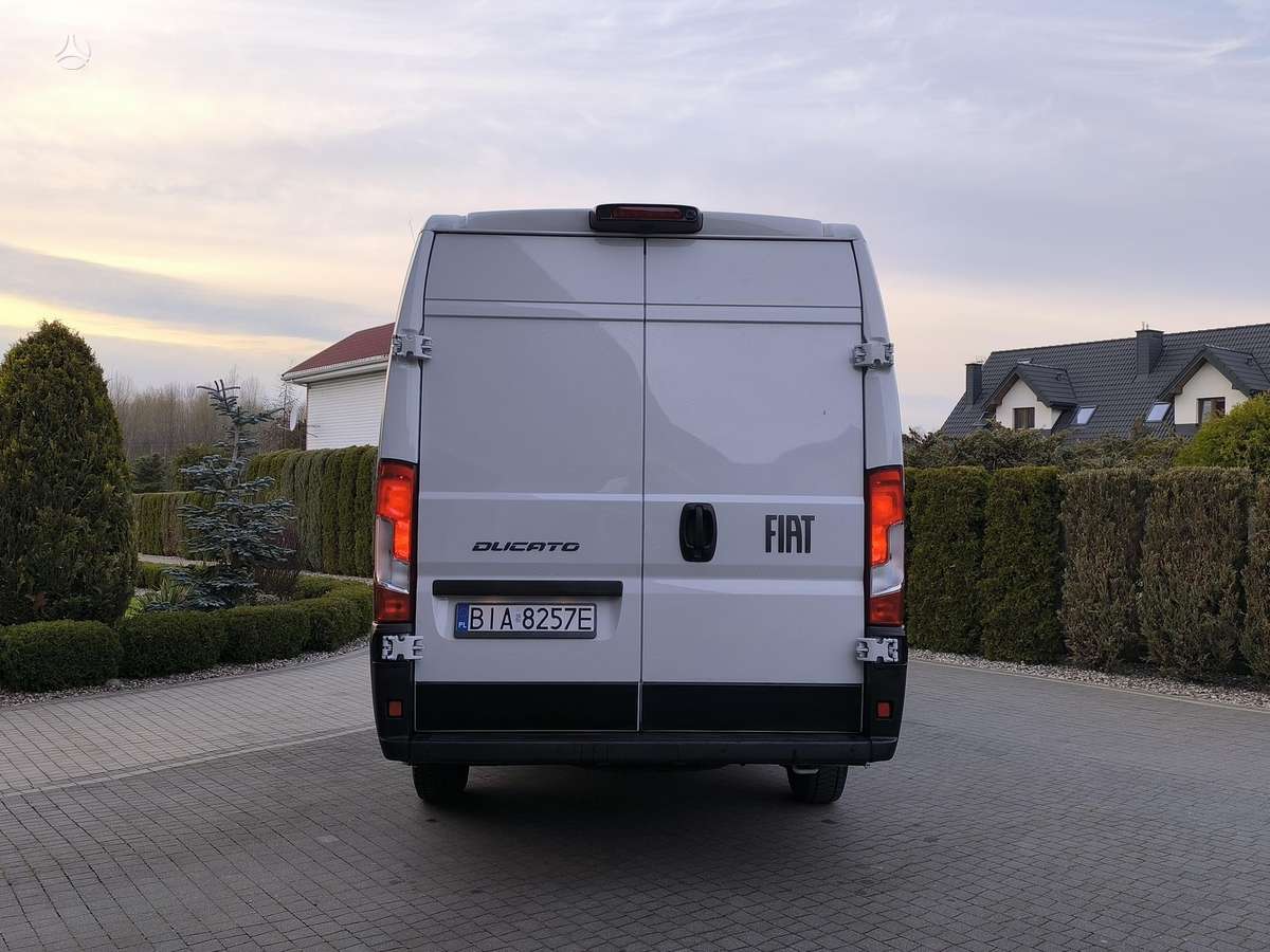 Fiat Ducato, cargo van