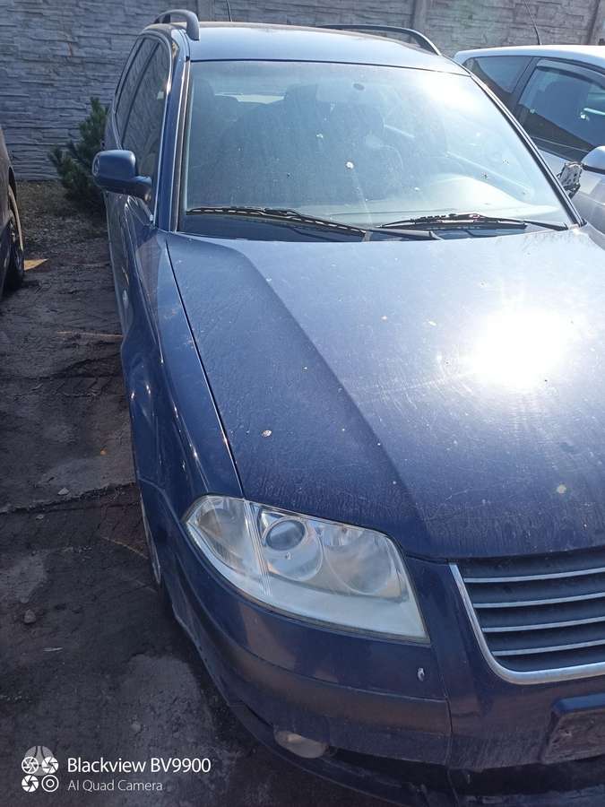 Volkswagen Passat Dalimis