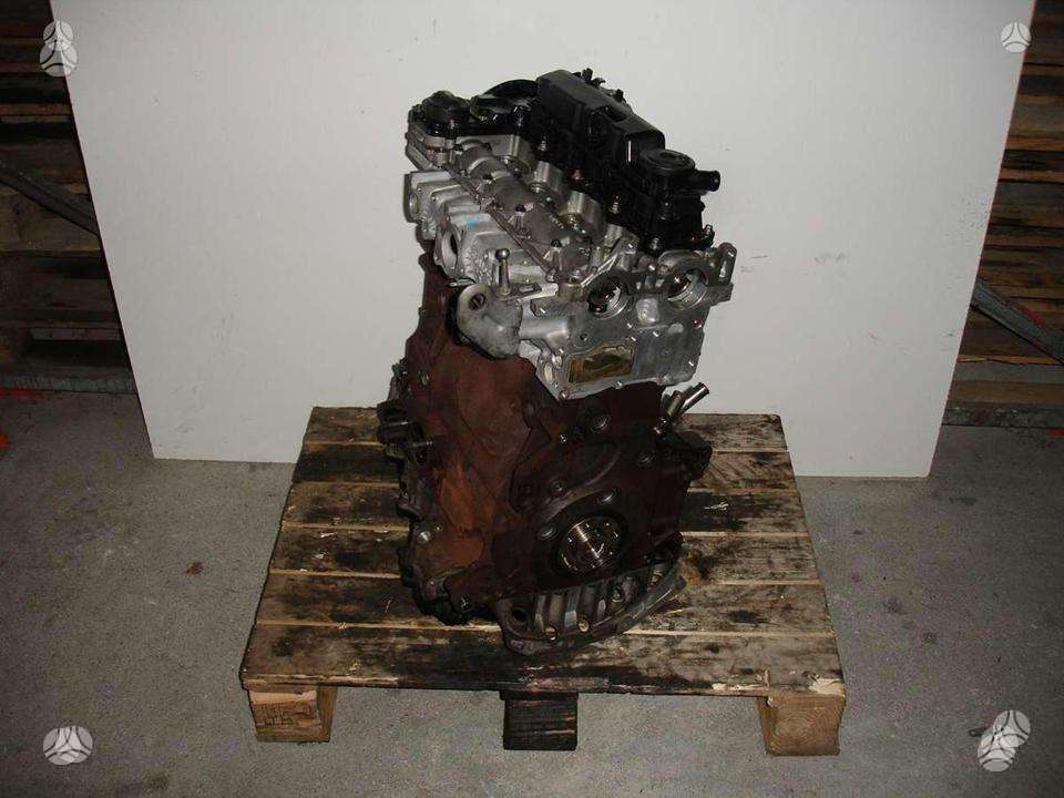Ford Kuga engine
