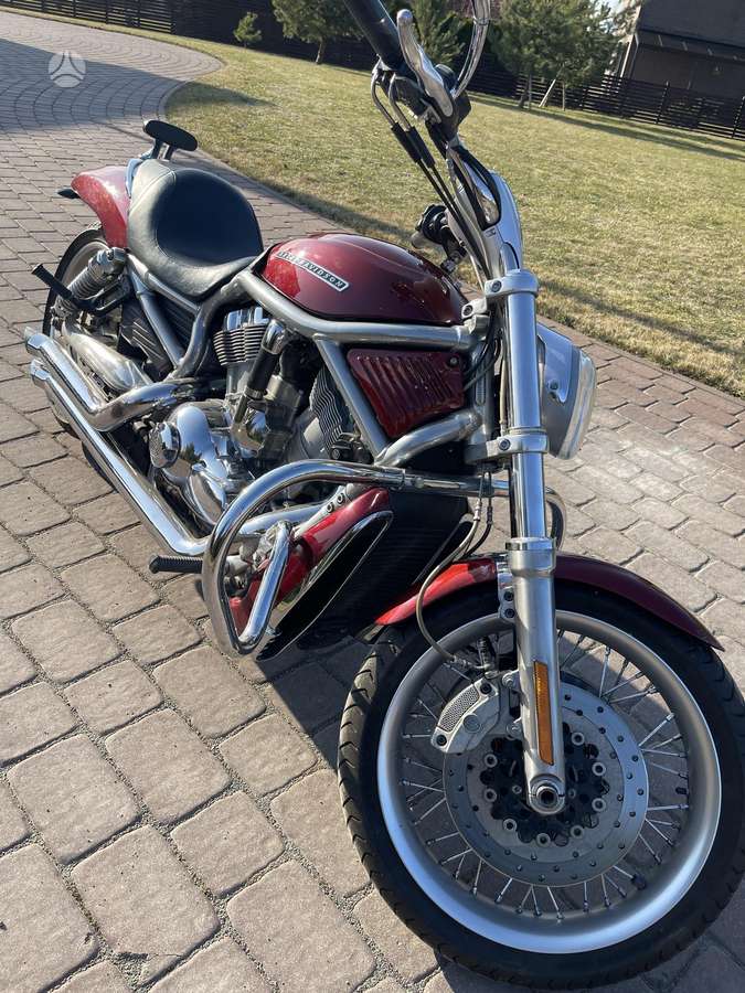 Harley-Davidson VRSC 1250cc, чопперы / круизеры / custom