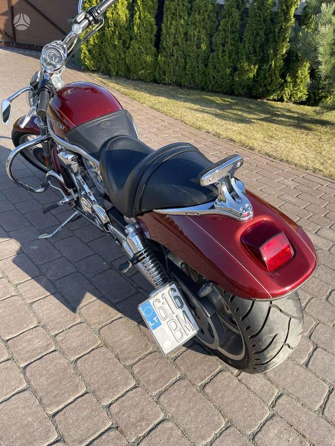 Harley-Davidson VRSC 1250cc, чопперы / круизеры / custom