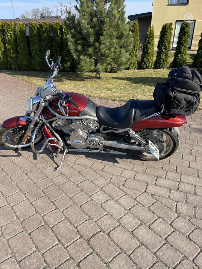 Harley-Davidson VRSC 1250cc, чопперы / круизеры / custom