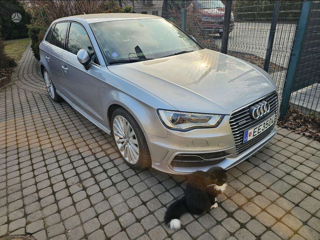 Audi A3, 1.4 l., hatchback