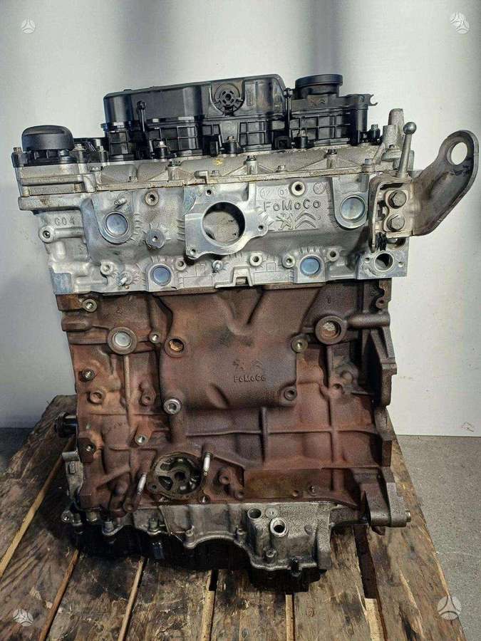 Ford Mondeo, 10DYZQ, variklis