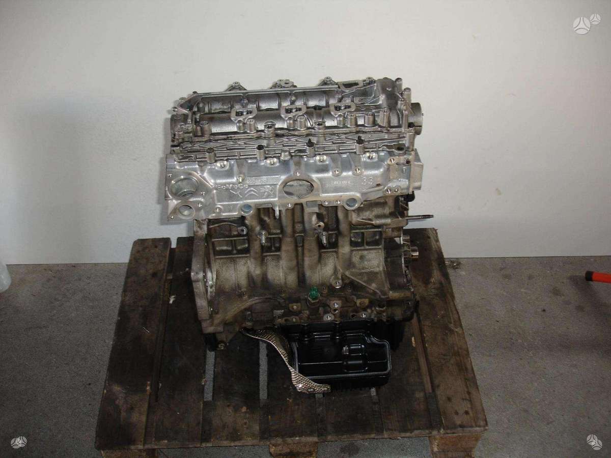 Ford Transit, Z2GA, двигатель