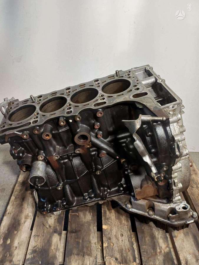 Mercedes-Benz C klasė, 651921, engine