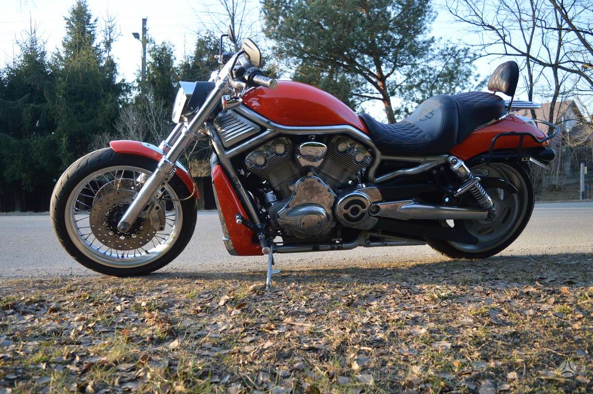 Harley-Davidson VRSC 1247cc, choppers / cruisers / custom
