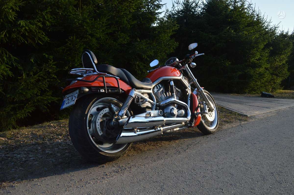 Harley-Davidson VRSC 1247cc, choppers / cruisers / custom