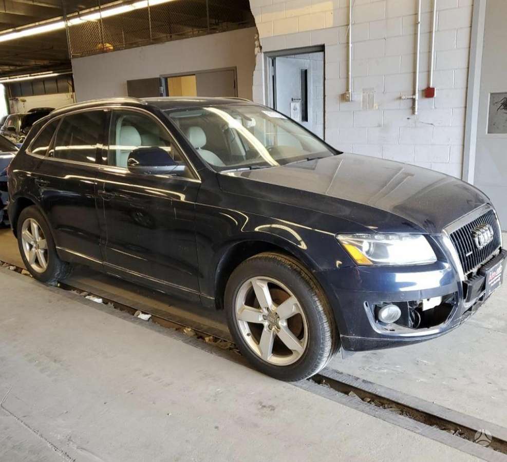 Audi Q5 dalimis. Variklis dalimis