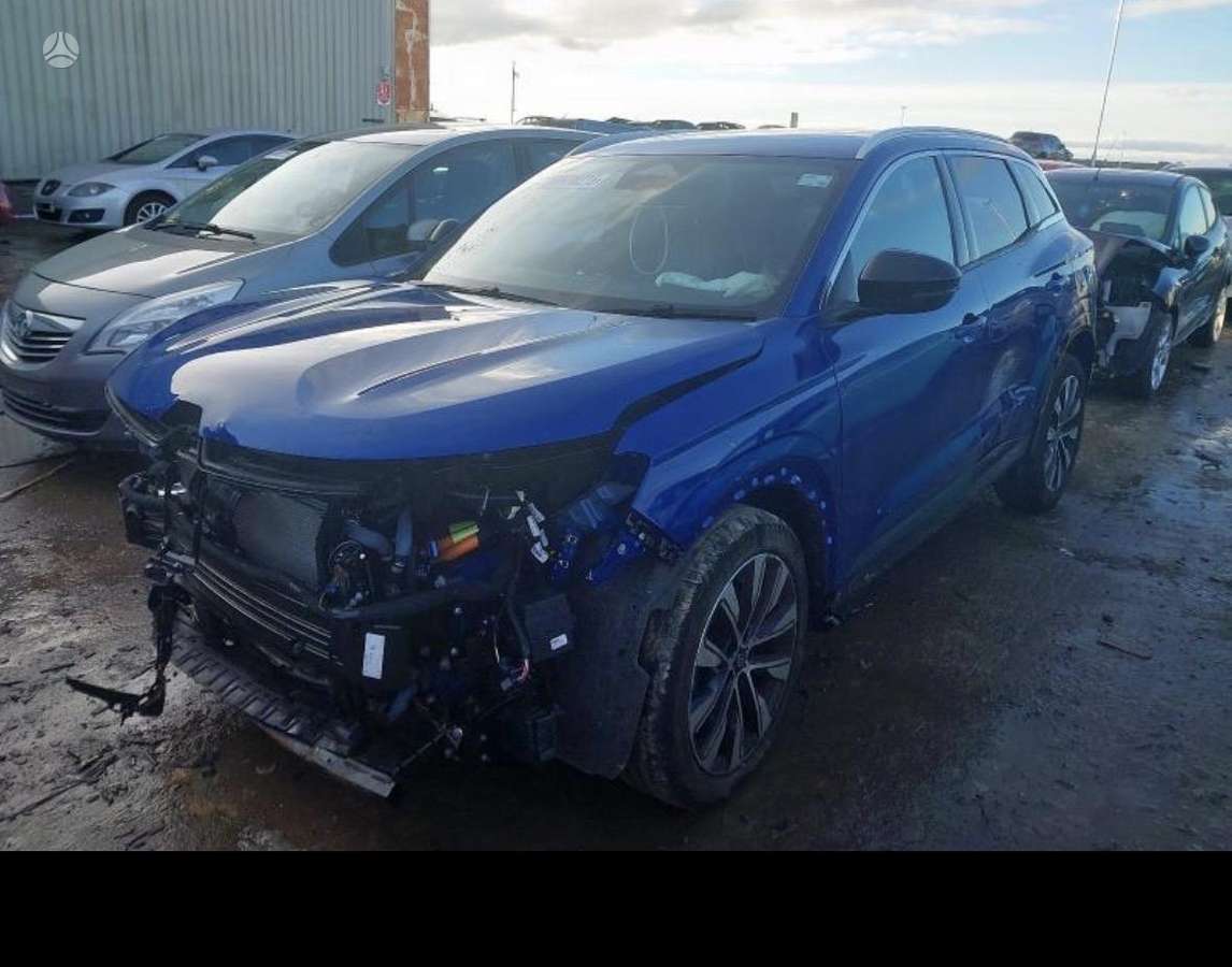 Renault Austral по частям. Dalimis