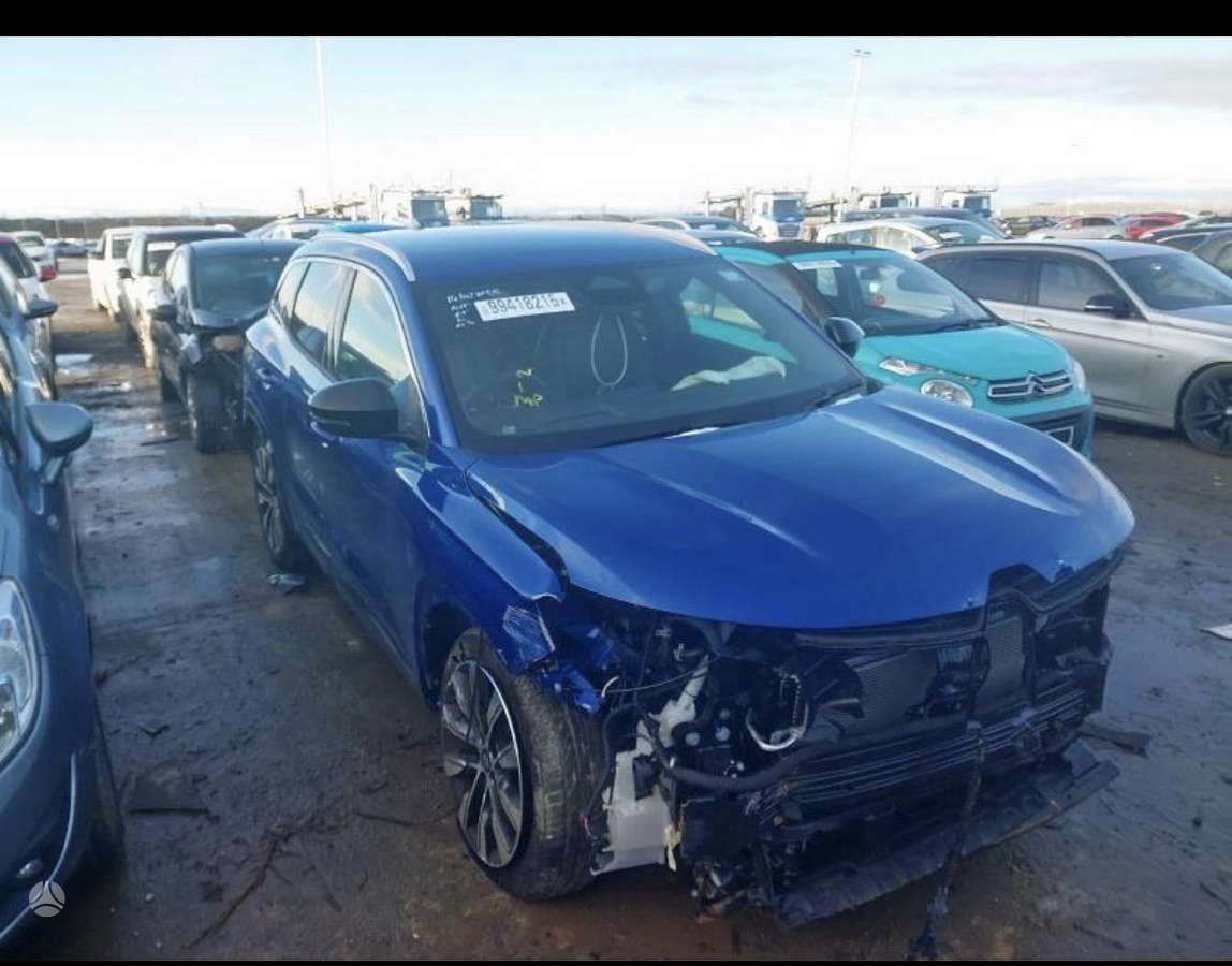 Renault Austral rezerves daļās. Dalimis