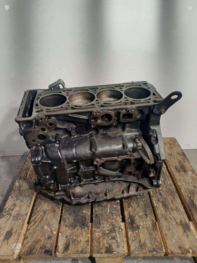 Volkswagen Passat, CAW, engine