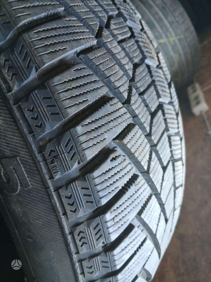 Continental, всесезонные 205/55 R16