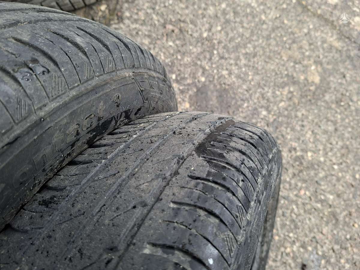 Continental, летние 165/70 R14