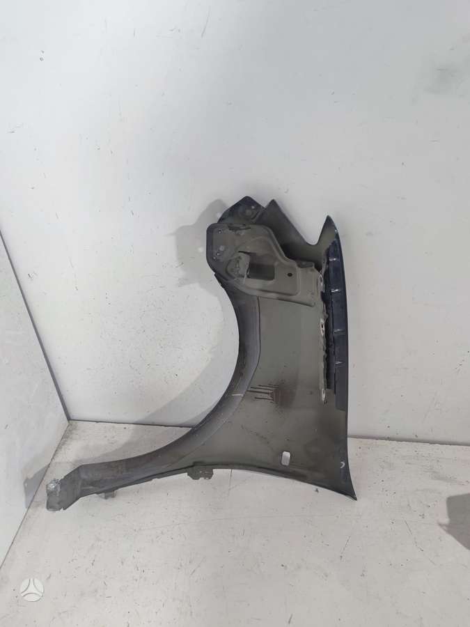 Dacia Sandero kėbulo dalys