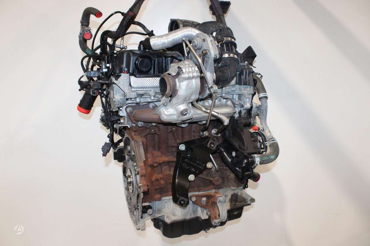 Ford Transit Custom, YMF6, engine